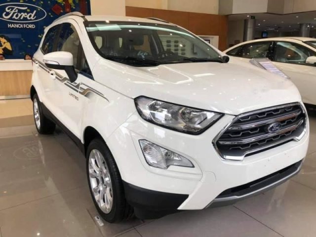 Cần bán Ford EcoSport đời 2019, màu trắng, xe nhập0