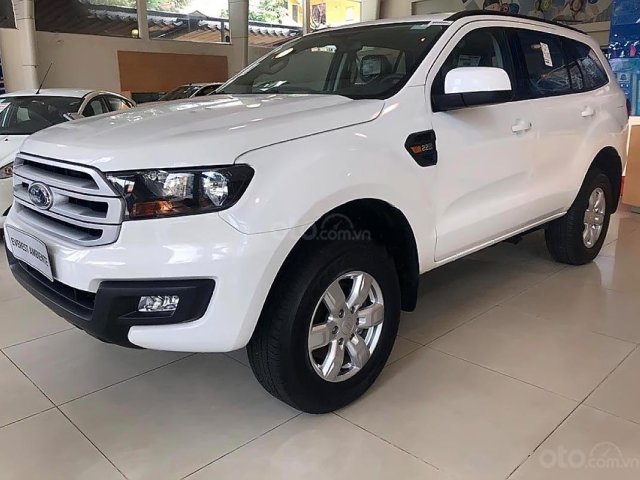 Bán xe Ford Everest Ambiente 2.0 4x2 MT 2019, màu trắng, nhập khẩu0