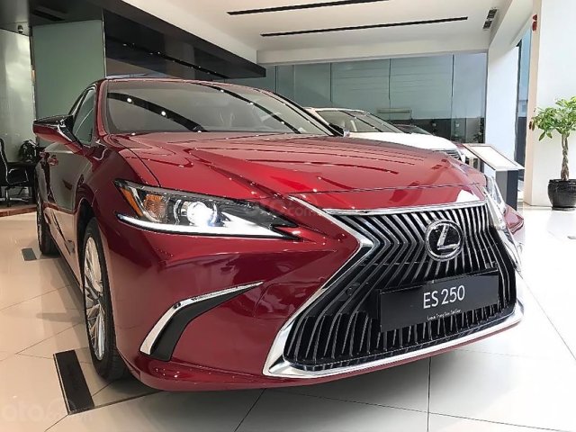 Bán ô tô Lexus ES 250 năm 2019, màu đỏ, nhập khẩu0