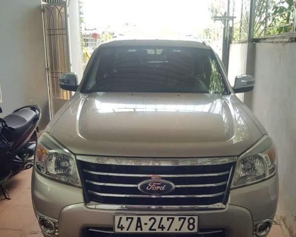 Cần bán Ford Everest sản xuất 2009, màu vàng cát