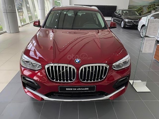 Bán xe BMW X4 xDrive20i đời 2019, màu đỏ, nhập khẩu