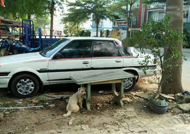 Bán Toyota Corona 1986, màu trắng, máy lạnh run, nội thất mới