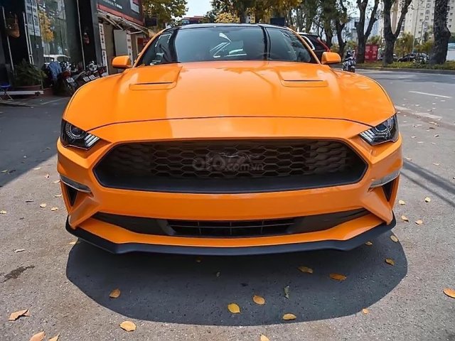 Bán xe Ford Mustang 2.3 EcoBoost Fastback năm 2019, màu vàng, xe nhập