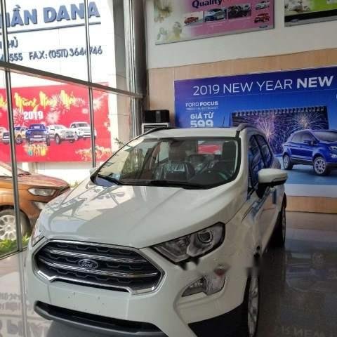 Bán xe Ford EcoSport sản xuất năm 2019, màu trắng0