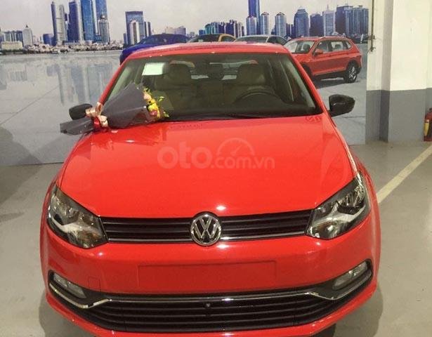 Bán Volkswagen Polo 1.6AT đời 2018, màu đỏ, nhập khẩu 