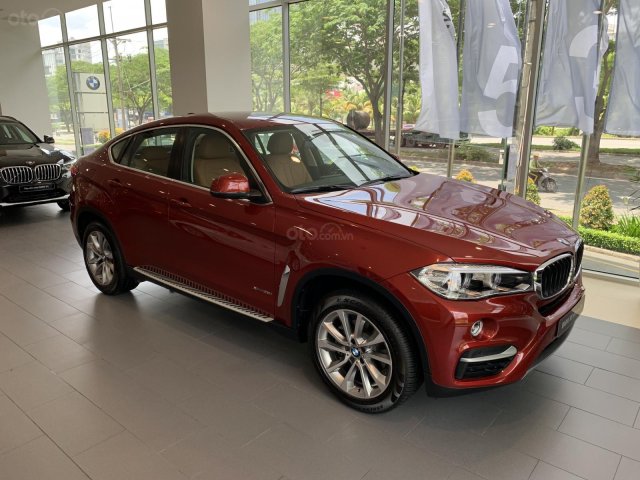 Cần bán BMW X6 xDrive35i đời 2019, màu đỏ, nhập khẩu0