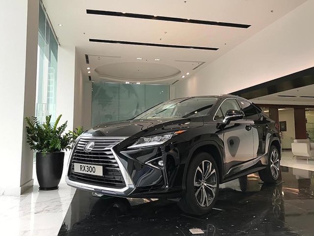 Bán ô tô Lexus RX 300 sản xuất 2019, màu đen, xe nhập0