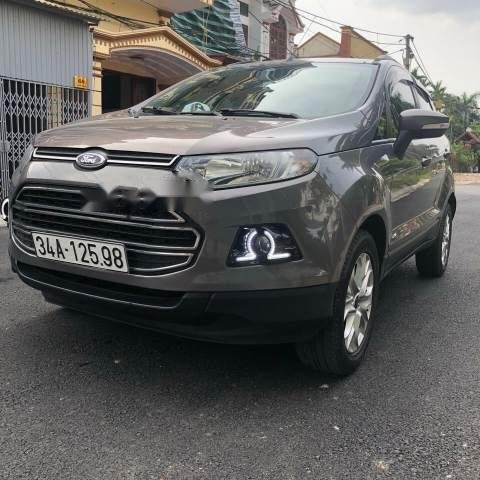 Gia đình bán Ford EcoSport đời 2015, màu xám0