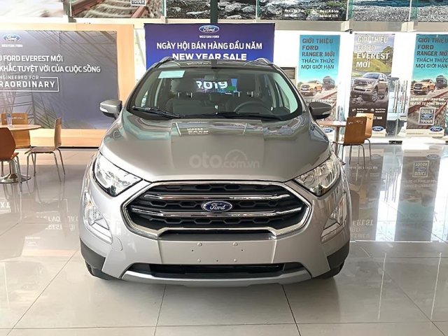 Bán Ford EcoSport Titanium 1.5L AT đời 2019, màu xám, giá cạnh tranh