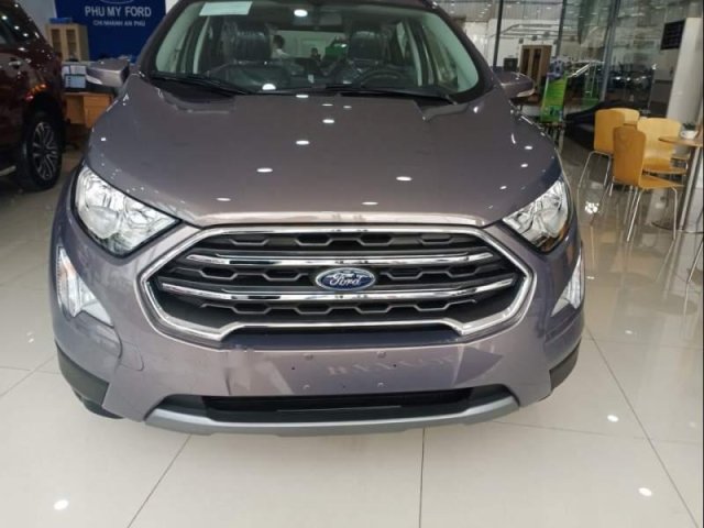 Cần bán xe Ford EcoSport đời 2019, màu xám