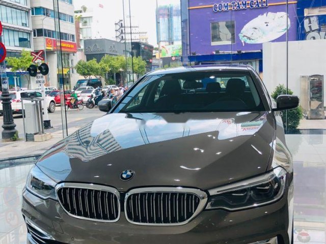 Bán BMW 5 Series 2019, màu xám, xe nhập