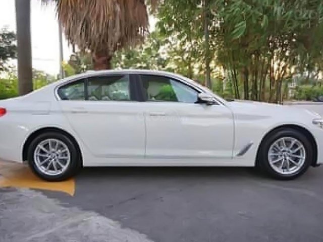 Cần bán BMW 5 Series 520i 2019, màu trắng, nhập khẩu