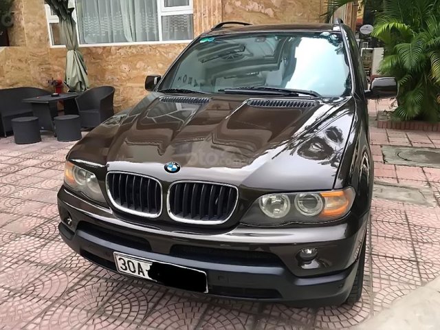 Bán BMW X5 2004, màu nâu, nhập khẩu0