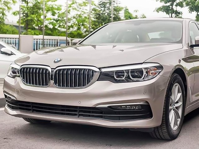 Cần bán BMW 5 Series 520i 2019, màu bạc, xe nhập0