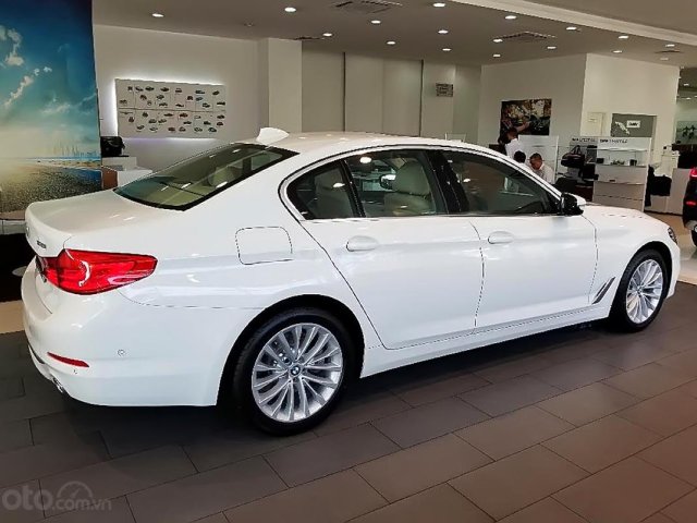 Bán BMW 5 Series 530i Luxury Line sản xuất 2019, màu trắng, nhập khẩu0