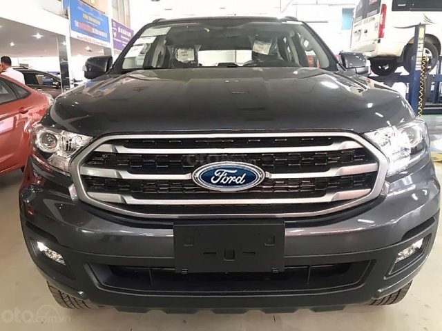 Cần bán xe Ford Everest AT sản xuất 2019, màu xanh lam, nhập khẩu0