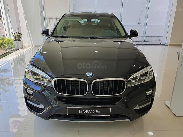 Cần bán BMW X6 XDrive35i đời 2019, nhập khẩu0