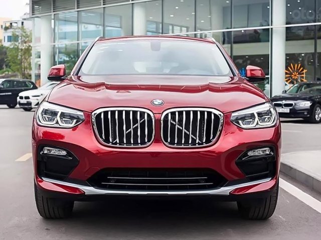 Bán ô tô BMW X4 xDrive20i đời 2019, màu đỏ, nhập khẩu nguyên chiếc