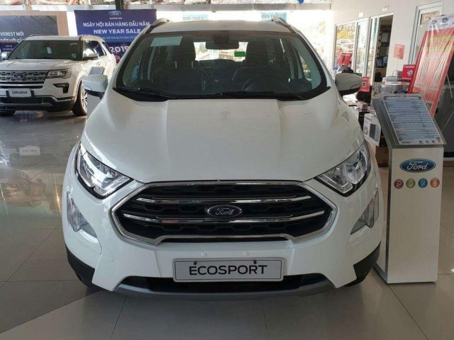 Bán xe Ford Ecosport Ambiente MT 1.5L đời 2019, giá tốt, giao nhanh toàn quốc