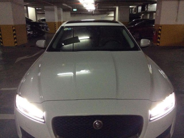 Cần bán xe Jaguar XF đời 2016, màu trắng còn mới0