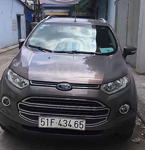 Cần bán gấp Ford EcoSport sản xuất năm 2016, màu xám xe gia đình