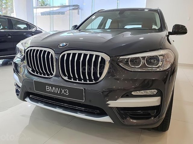 Bán BMW X3 năm sản xuất 2019, nhập khẩu  0