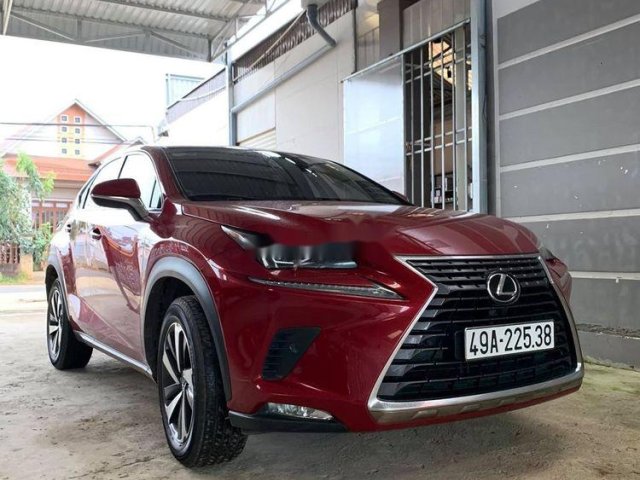 Chính chủ bán xe Lexus NX 300 sản xuất 2018, màu đỏ0