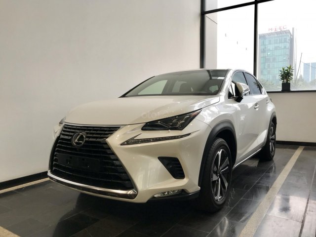 Lexus NX300 2019 mới 100% chính hãng - 0945368282