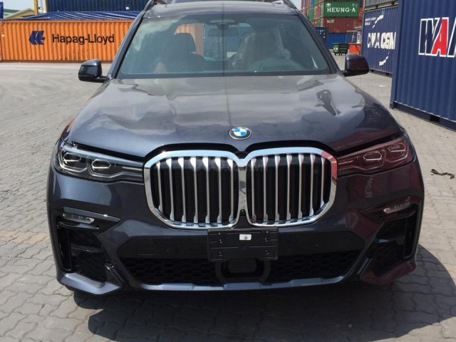 Bán BMW X7 xDrive40i đời 2020, màu xám, xe nhập0