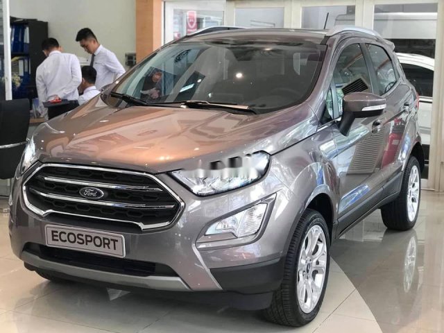 Cần bán Ford EcoSport sản xuất năm 2019, màu xám, giá tốt