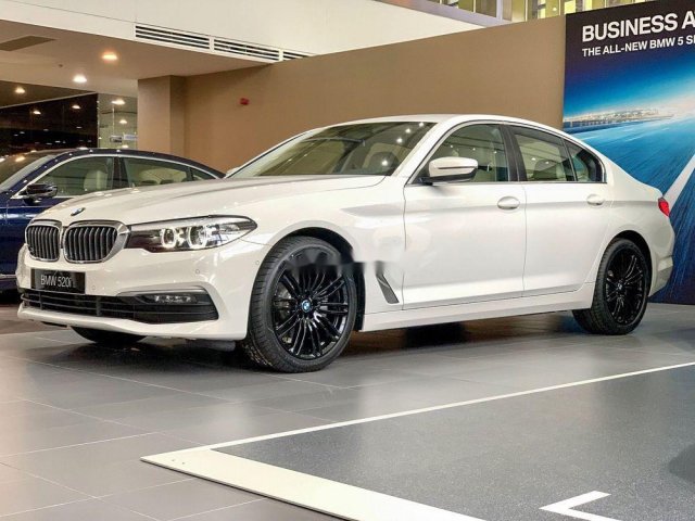 Bán xe BMW 520i sản xuất 2019, màu trắng, nhập khẩu nguyên chiếc