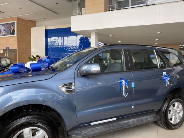 Bán Ford Everest đời 2019, màu xanh lam, xe nhập