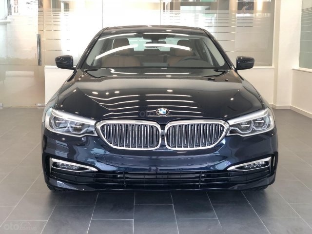 Bán BMW 5 Series đời 2019, màu xanh lam, nhập khẩu, giá ưu đãi nhất0