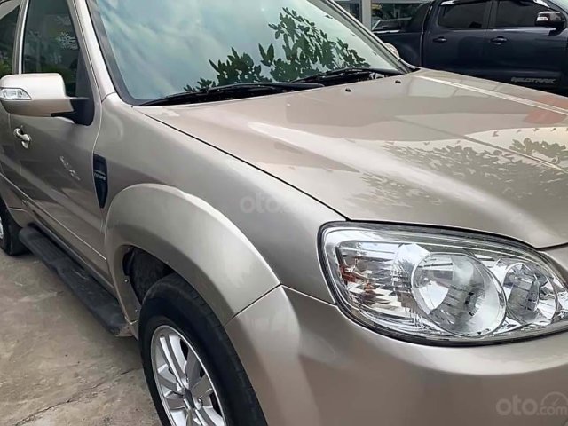 Cần bán gấp Ford Escape 2011, màu ghi vàng0