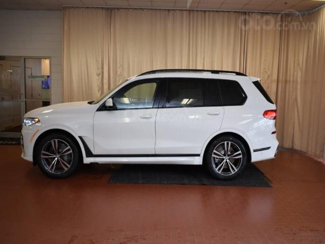 Bán ô tô BMW X7 xDrive40i 2019, màu trắng, nhập khẩu nguyên chiếc