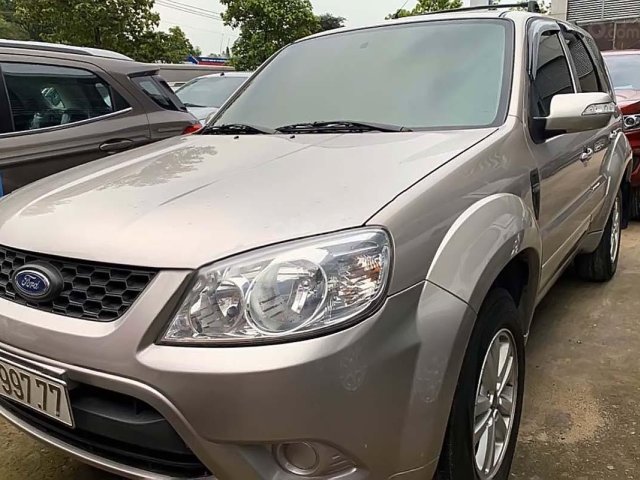 Cần bán xe Ford Escape năm sản xuất 20100