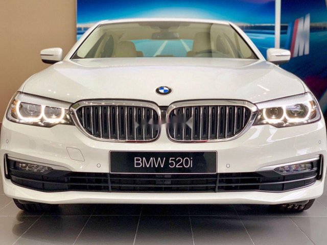 Cần bán xe BMW 5 Series 520i 2019, màu trắng, xe nhập