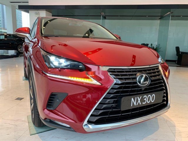 Bán Lexus NX300 sản xuất 2020, nhập khẩu, đủ màu giao ngay