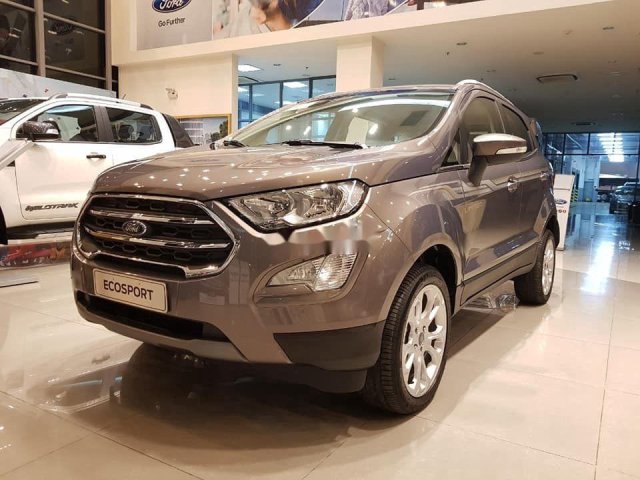 Cần bán xe Ford EcoSport sản xuất năm 2020, màu xám0