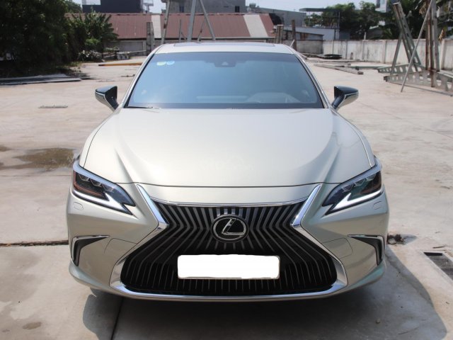 Bán xe hạng sang giá thấp với chiếc Lexus ES 250 đời 2020, màu xám, xe nhập0