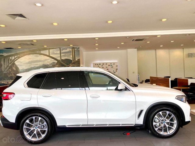 Bán BMW X5 xDrive40i xLine đời 2020, màu trắng, nhập khẩu nguyên chiếc0