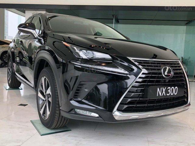 Bán Lexus NX sản xuất năm 2020, màu đen, xe nhập0