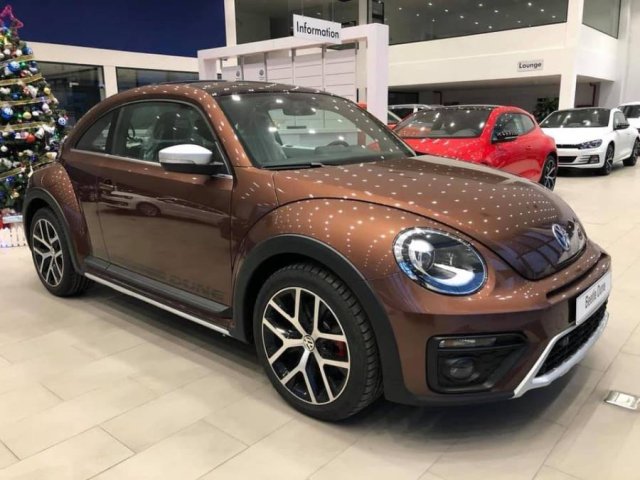 Bán Volkswagen Beetle năm 2020, màu nâu, xe nhập