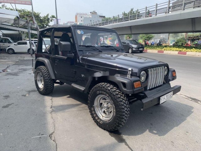 Bán Jeep Wrangler đời 2004, màu đen, xe nhập 