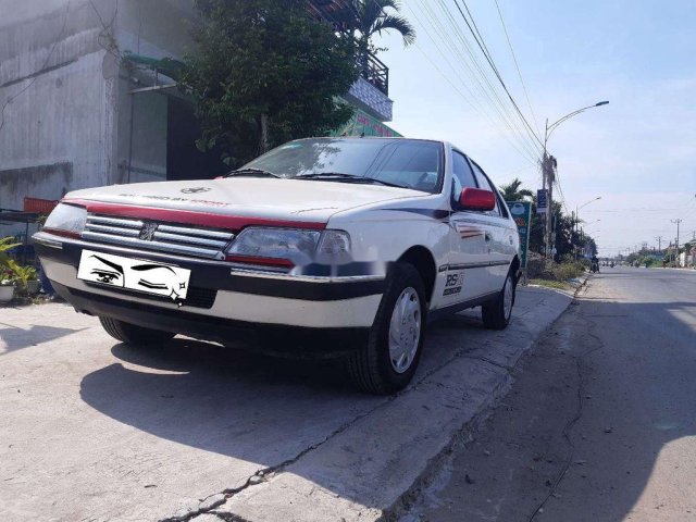 Bán Peugeot 405 sản xuất 1999, màu trắng, nhập khẩu