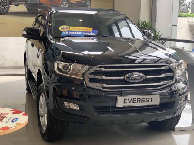 Bán Ford Everest Ambient MT 4x2 Turbo Diesel 2.0 TDCi đời 2019, màu xanh lam, xe nhập0