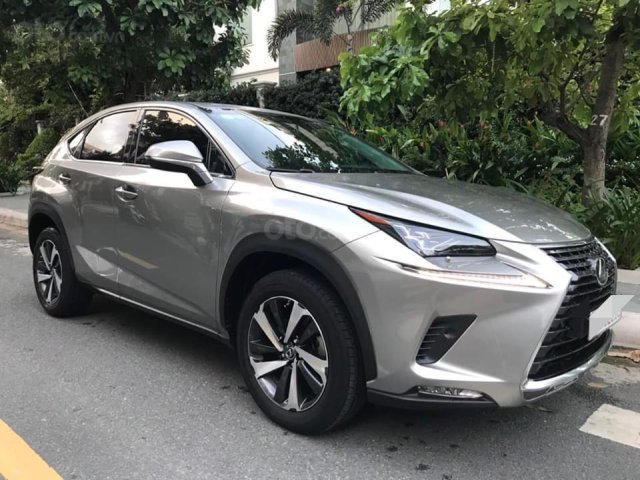 Lexus NX 300 - 20180