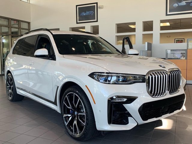 Bán BMW X7 năm sản xuất 2019, màu trắng0