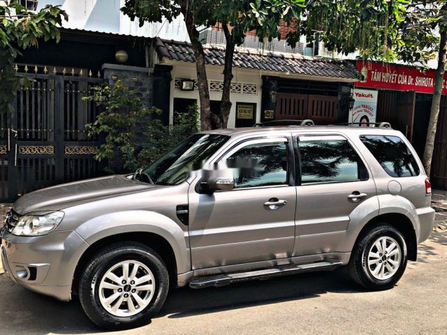 Bán ô tô Ford Escape đời 2010, màu xám, nhập khẩu nguyên chiếc 