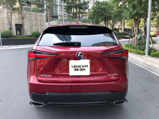 Bán ô tô Lexus NX300 năm 2018, màu đỏ, xe nhập  0